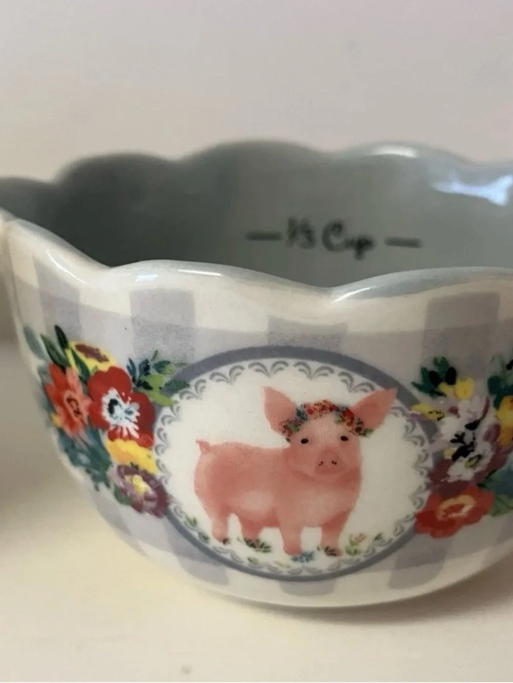 Pioneer Woman Gingham Sweet Romance Measuring Cup Set